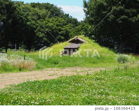 下野谷遺跡 下野谷遺跡 106366415