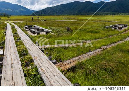 尾瀬ヶ原　龍宮十字路 106366551