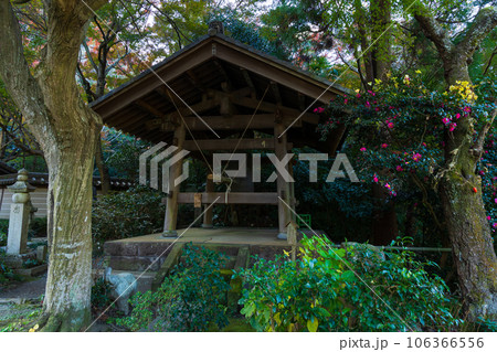 晩秋の古都鎌倉　紅葉の瑞泉寺　鐘楼 106366556