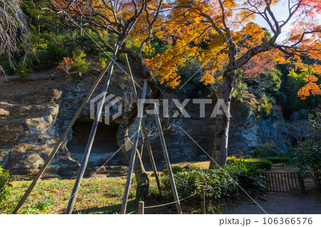 晩秋の古都鎌倉 紅葉の瑞泉寺 瑞泉寺庭園 晩秋の古都鎌倉 紅葉の瑞泉寺 瑞泉寺庭園 106366576