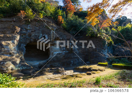 晩秋の古都鎌倉　紅葉の瑞泉寺　瑞泉寺庭園 106366578