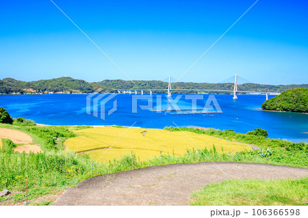 夏の犬頭の棚田と鷹島肥前大橋　佐賀県唐津市 106366598