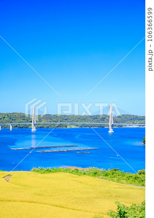 夏の犬頭の棚田と鷹島肥前大橋　佐賀県唐津市 106366599