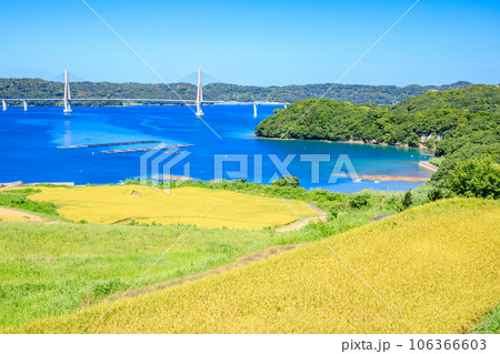 夏の犬頭の棚田と鷹島肥前大橋　佐賀県唐津市 106366603