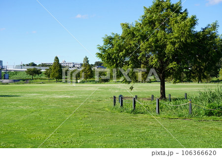 新横浜公園 草地広場 106366620