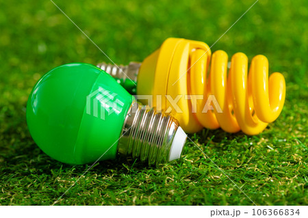Energy efficient light bulb lying on grass 106366834