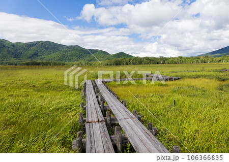 尾瀬ヶ原の木道 106366835