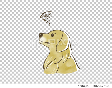 golden retriever in trouble 106367698