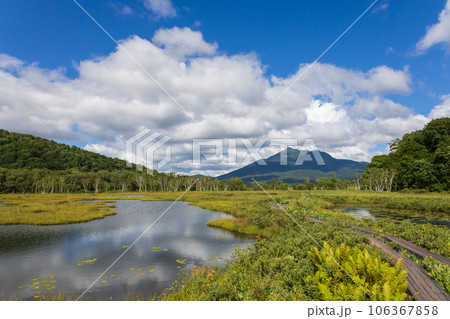 尾瀬ヶ原の池塘 106367858