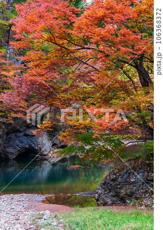 湯瀬渓谷(秋) 湯瀬渓谷(秋) 106368372