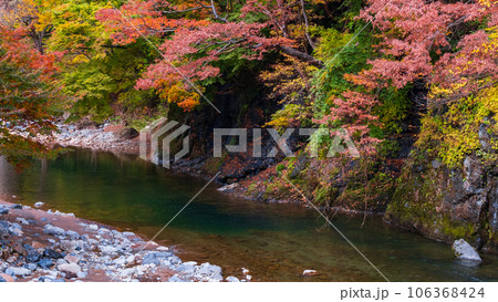 湯瀬渓谷（秋） 106368424