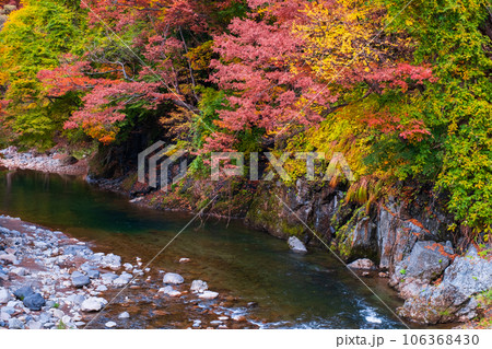湯瀬渓谷（秋） 106368430