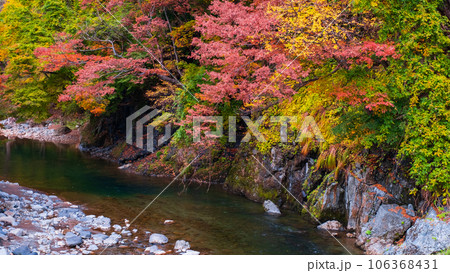 湯瀬渓谷（秋） 106368431