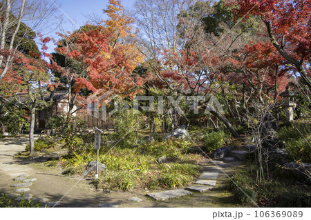 有楽苑 茶花園 106369089