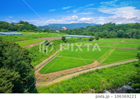 田園風景 利根川支流 薄根川沿い 沼田市 田園風景 利根川支流 薄根川沿い 沼田市 106369221