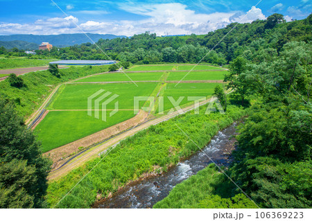 田園風景　利根川支流　薄根川沿い　沼田市　　 106369223