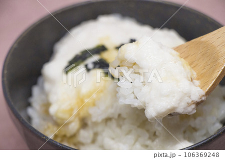 とろろご飯 とろろご飯 106369248