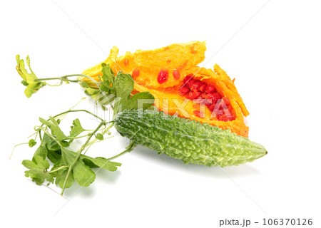 Bitter melon or bitter gourd (yellow) ready for seeds extraction with green bitter melon. Bitter melon or bitter gourd (yellow) ready for seeds extraction with green bitter melon. 106370126