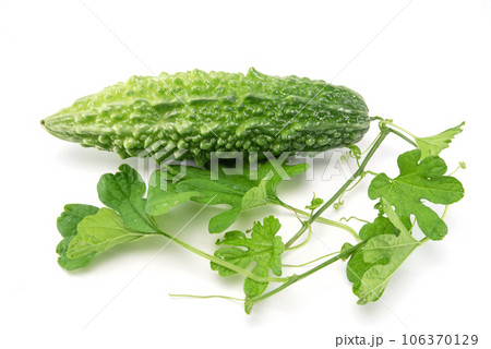 Bitter melon or bitter gourd with leaves isolated on white background. 106370129