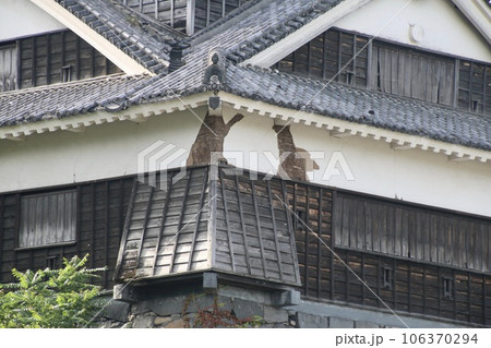 熊本城の復興(熊本県・熊本市) 熊本城の復興(熊本県・熊本市) 106370294