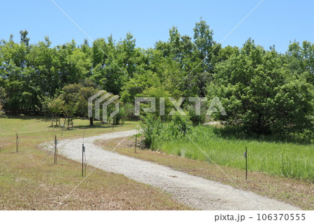愛知池(東郷調整池)の百年森公園 愛知池(東郷調整池)の百年森公園 106370555