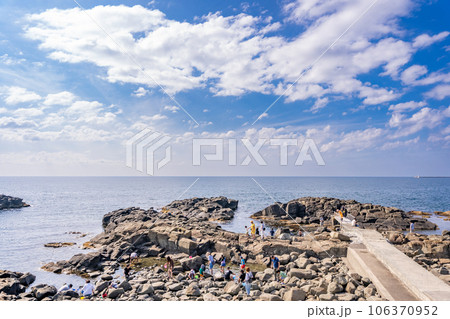 黄金岬海浜公園 106370952