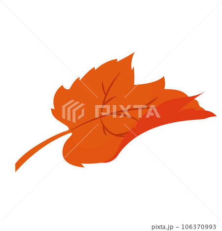 Isolated colored autumn leaf icon Vector Isolated colored autumn leaf icon Vector 106370993