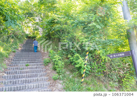 石狩市あいろーどパーク 恋人の聖地 厚田展望台の可愛いリス 石狩市あいろーどパーク 恋人の聖地 厚田展望台の可愛いリス 106371004