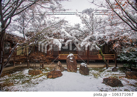 潮音庭　冬　建仁寺 106371067