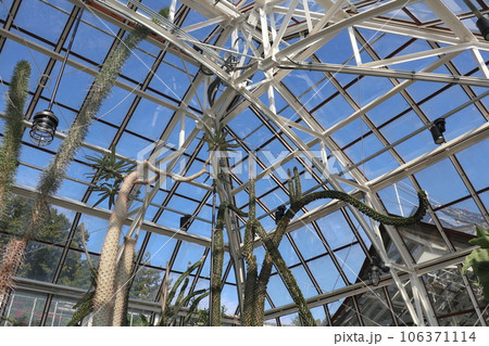 東山動植物園にある重要文化財の温室内 106371114