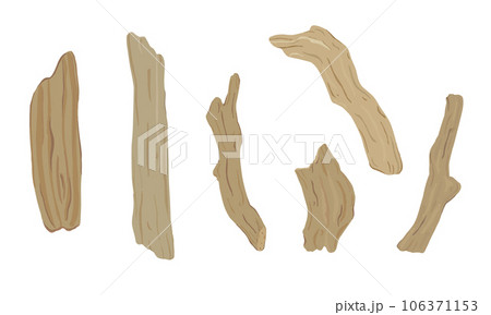 Set of driftwood illustration. Hand drawn vector. Set of driftwood illustration. Hand drawn vector. 106371153