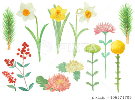 水彩絵の具で描いたお正月のお花セット 水彩絵の具で描いたお正月のお花セット 106371709