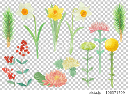 水彩絵の具で描いたお正月のお花セット 水彩絵の具で描いたお正月のお花セット 106371709