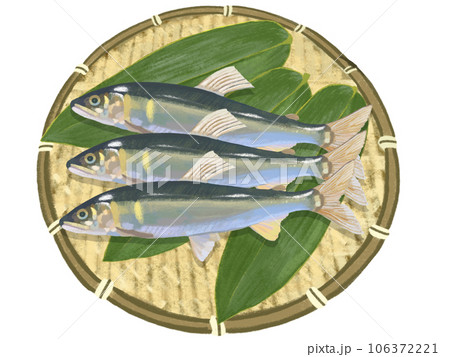 鮎(ザル、笹の葉付き) 鮎(ザル、笹の葉付き) 106372221