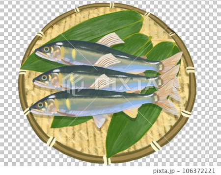 鮎(ザル、笹の葉付き) 鮎(ザル、笹の葉付き) 106372221