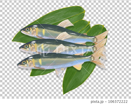 Sweetfish (with bamboo leaves) 106372222