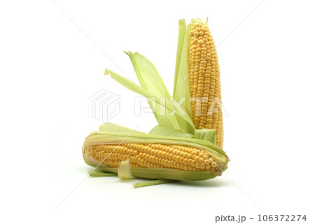 Corn on the cob with leaves over white background 106372274