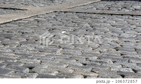 Old gray stone pavement texture. Old gray stone pavement texture. 106372857