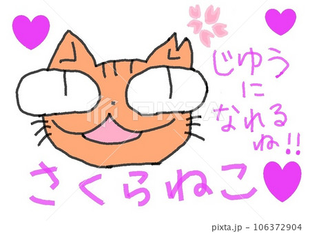 目が大きい猫のさくらねこ 目が大きい猫のさくらねこ 106372904