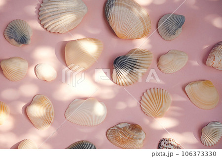 Seashells item. Beach memories concept. Seashells item. Beach memories concept. 106373330