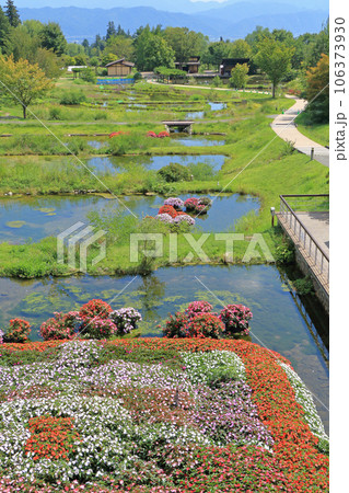 国営アルプスあづみの公園 堀金・穂高地区 田園文化ゾーンの池 国営アルプスあづみの公園 堀金・穂高地区 田園文化ゾーンの池 106373930