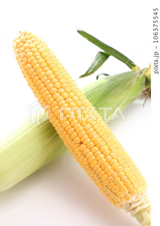 トウモロコシ 106375545