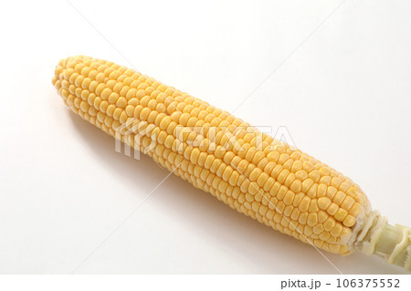 トウモロコシ 106375552