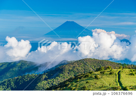 【静岡県】西伊豆達磨山高原から望む富士山 106376696
