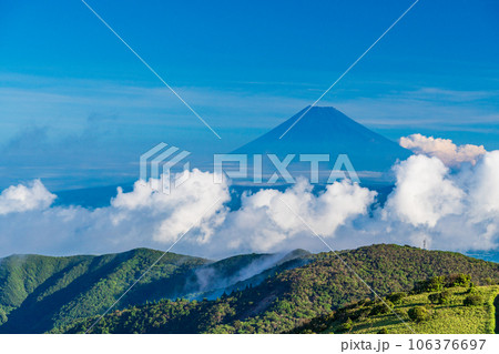 【静岡県】西伊豆達磨山高原から望む富士山 106376697