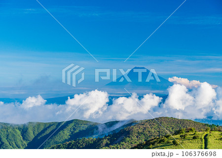 【静岡県】西伊豆達磨山高原から望む富士山 106376698