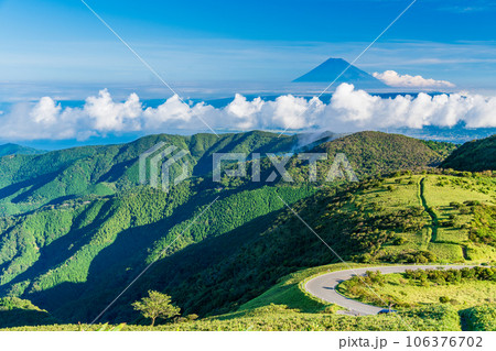 【静岡県】西伊豆達磨山高原から望む富士山 【静岡県】西伊豆達磨山高原から望む富士山 106376702