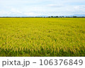 収穫を待つ秋の田んぼの風景 106376849