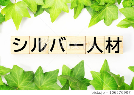 シルバー人材 福祉・介護関連のキーワード素材 シルバー人材 福祉・介護関連のキーワード素材 106376907