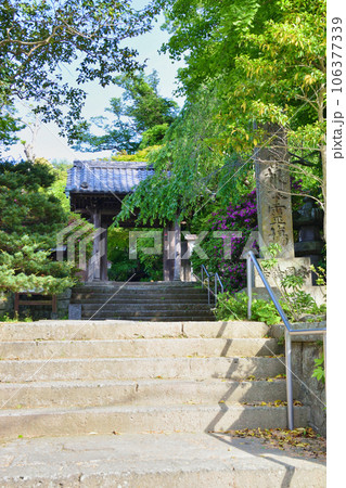 鎌倉 安国論寺(神奈川県鎌倉市材木座) 鎌倉 安国論寺(神奈川県鎌倉市材木座) 106377339